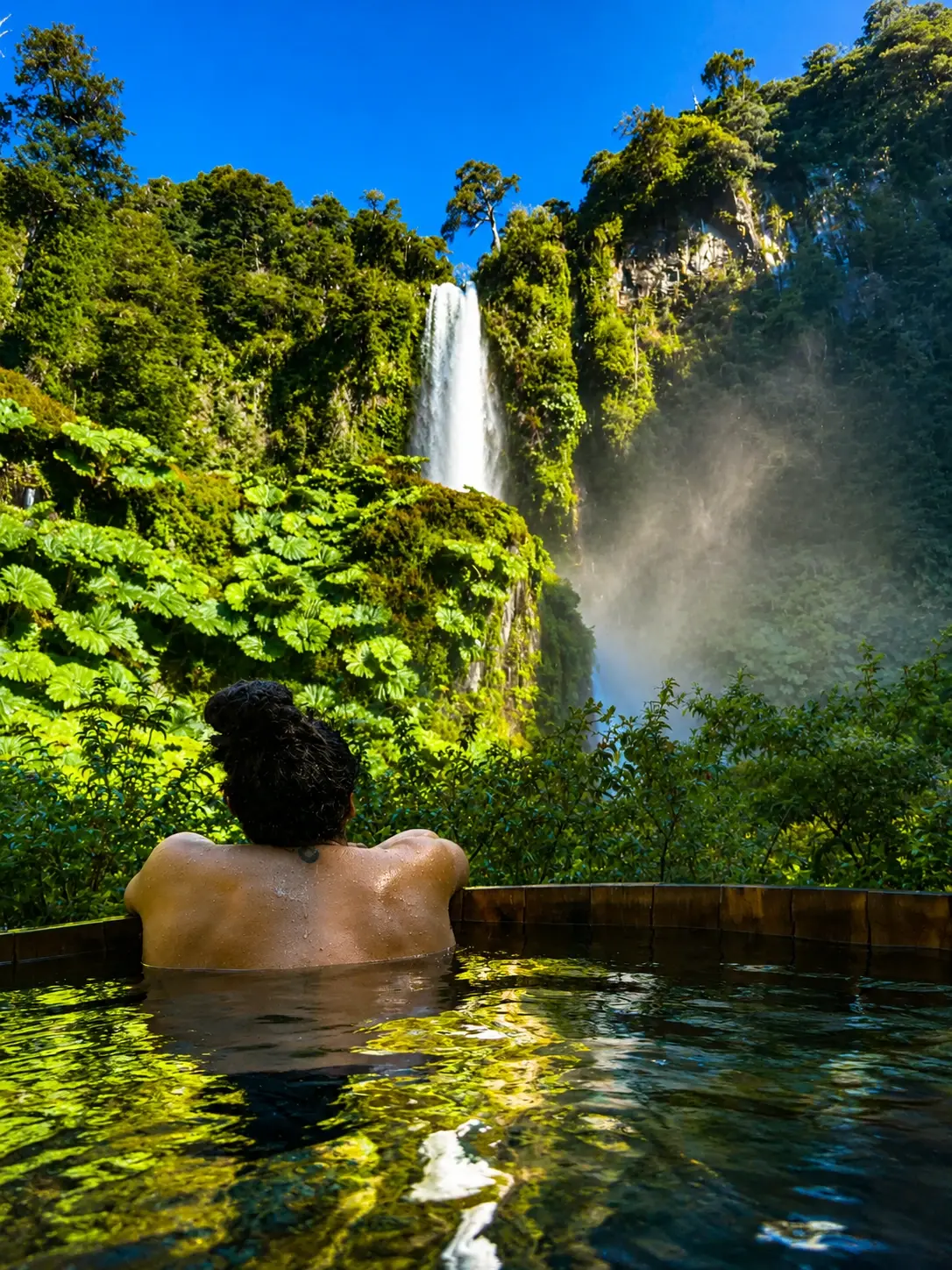 Tour Cascadas y Termas de Palguín, Pucón (4)