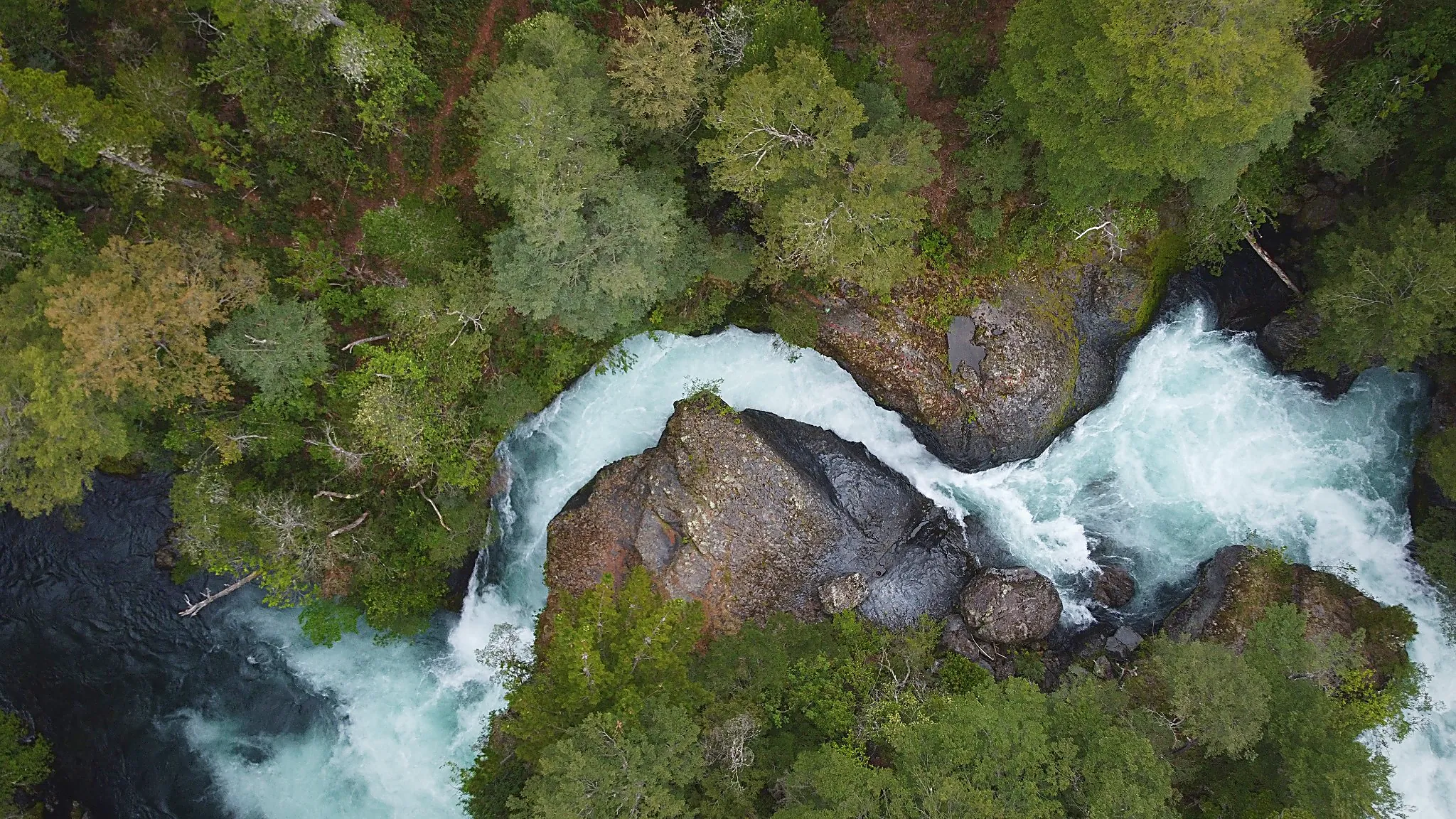 Tour Cascadas y Termas de Palguín, Pucón (5)